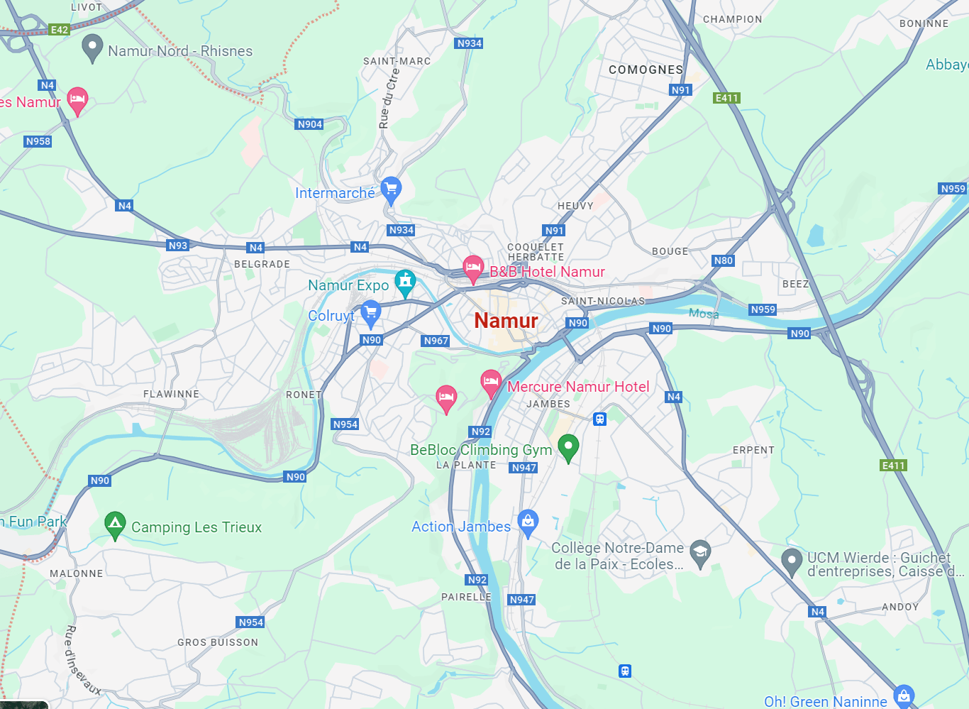 namur-origine-patatine-fritte-aviko.png