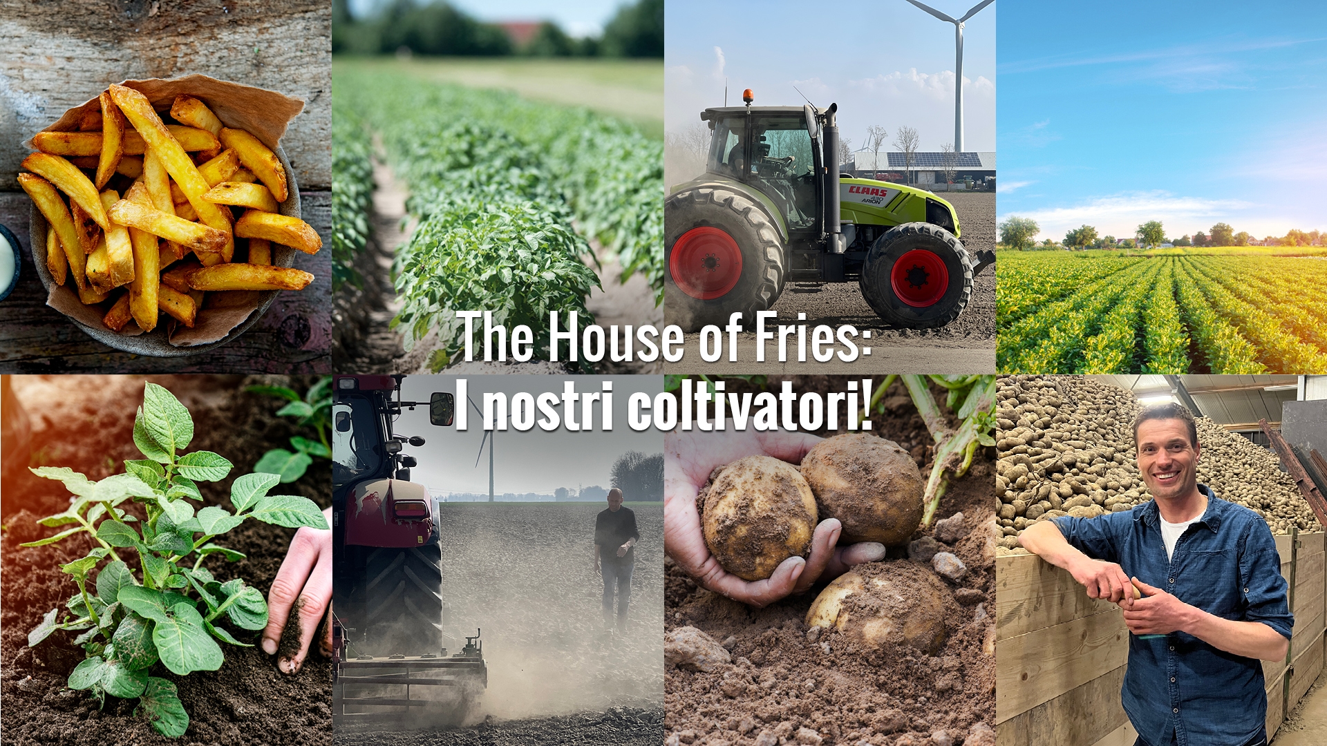 house_of_fries_website_-_new_horizons_-_our_growers_page_-_header_-_1920x1080