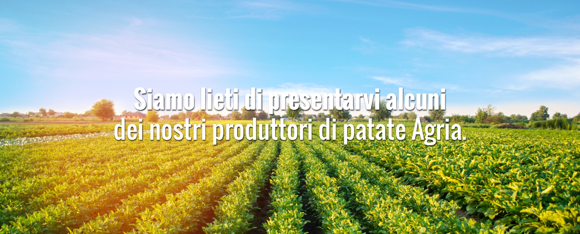 house_of_fries_website_-_new_horizons_-_our_growers_page_-_image_block_-_1920x755px