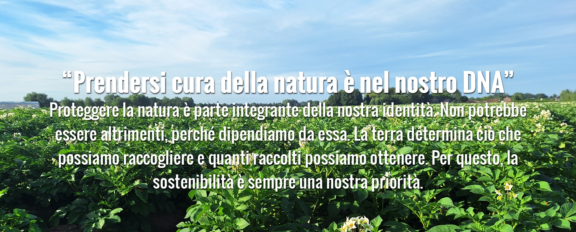 house_of_fries_website_-_new_horizons_-_our_growers_page_-_image_block_-_1920x755px2