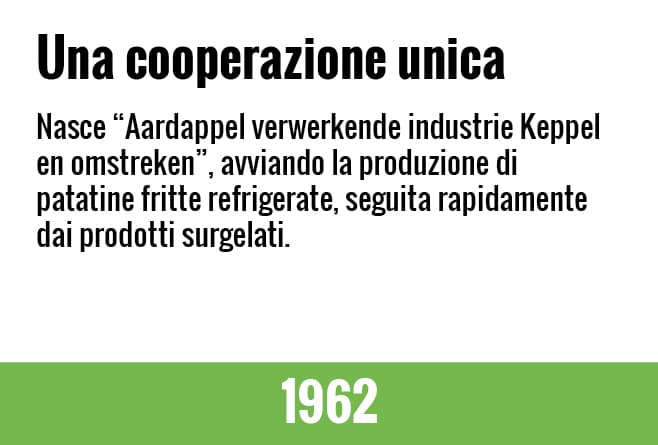 house_of_fries_website_-_new_horizons_-_our_growers_page_-_image_block_-_658x445px